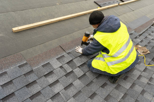 Best Roof Gutter Cleaning  in Shady Side, MD